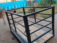 Mol tarozi 2 tonalik Eliktronika — عکس 3