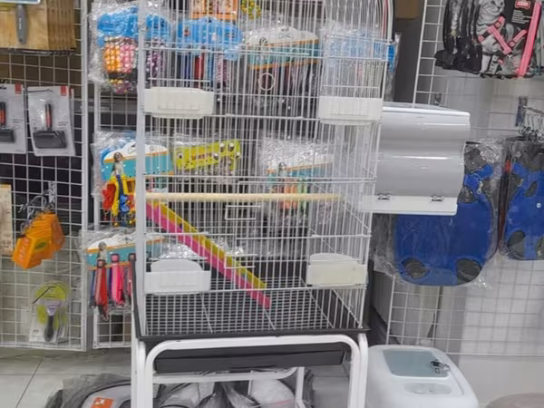 Her novde her qiymete qefeslermiz var catrilma var metrolara rayolara