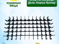 Перегородки для куриных яиц Блиц-72, Дели, Луппер 72 яиц так же есть — تصویر 2