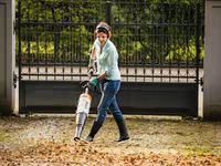 Комбинированные системы Stihl — Бельцы и Сороки — 사진 4