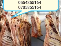 ወንድ በሬ, Cattle — ፎቶ 1