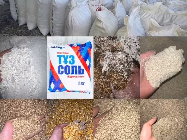 Продаю КОМБИКОРМ Био корм (6в1) состав ячмень кукуруза пшеница жмых