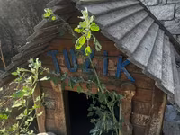 Salamm itlər çün yuvlar kimm istsə yazsınn 3 dənədi 230 mamatdıı ünvan — foto 5