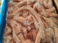 Сухожилия говяжьи tendon — 사진 4
