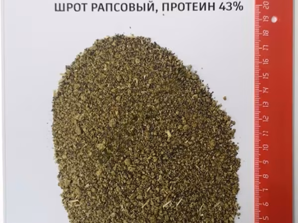 Шрот рапсовый