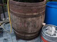 Butoi stejar — Foto 1