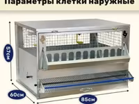 Клетка для кур-несушек «Профессионал» (1 ярус, до 10 голов) — الصورة 5