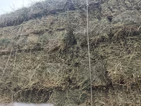 ПРОДАЮ КЛЕВЕР ТЮКИ (прессованное) чистый клевер,доставка по Сокулук — foto 1