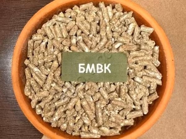 БМВК Основа Бэкс