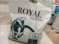 Royal cet katvi avaz կատվի համար տեղական լցանութ — รูปภาพ 1