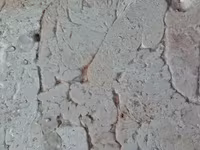 Жир внутренний сырец 1-я группа — 3 зураг