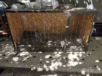 Chickens — foto 6