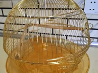 Qızılı rəngdə dairəvi quş qəfəsi - Material: metal tel konstruksiya — รูปภาพ 1