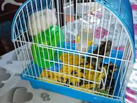 Hamster və qəfəs dəsti Məhsulun tərkibi: - Kiçik ölçülü, taşyanaqlı — عکس 2