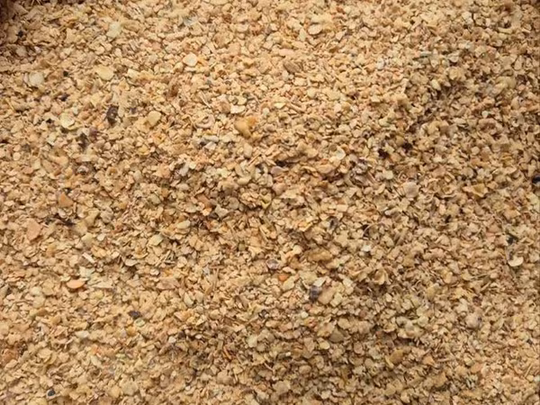 Șrot de soia 10,50 lei/kg