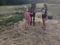 Cavallo, Cavalli — foto 7