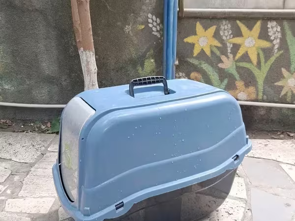 Ընտանի կենդանու տնակ