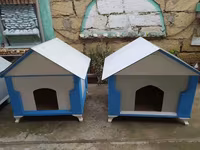 Salam yuvalar pişik ve balaca itlər üçün təzədi balacadan böyüyə — foto 4