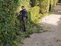 Инструменты Stihl для сада и участка — Бельцы и Сороки — تصویر 5