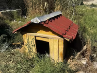 Salamm itlər çün yuvlar kimm istsə yazsınn 3 dənədi 230 mamatdıı ünvan — foto 2