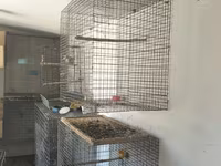 Metalkarkas quş qəfəsləri – iri həcmli model Məhsul təsviri: - — عکس 5