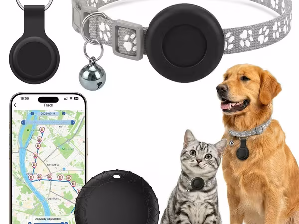 🐾 DÖRDAYAQLI DOSTLARINIZ ÜÇÜN MÜASİR GPS İZLƏMƏ CİHAZI 🐕 Hər ölçüdə