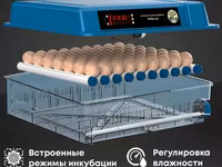 Инкубатор на 64 куриных яйца. инструкция есть в Ютубе ряба 64. русско- — عکس 1