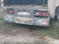 Խոյ, Ոչխարներ — լուսանկար 3