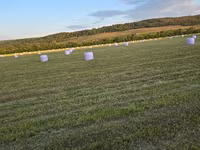 Lucernă/Senaj/ — foto 3