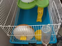 Hamster üçün tam dəst qəfəs uzunluqu 55 sm hündürlük 45 sm eni 30 sm — Foto 4