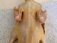 Pekin german — foto 4