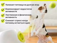 Автоматическая катапульта для собак
В комплекте 3 мяча — լուսանկար 3