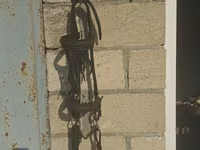 Atçılıq dəsti – ingilis tipli yəhər və cilov - Material: qalın — foto 5