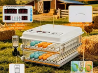 120 yumurtalı, ikiqat enerji mənbəli inkubator - 5 çıxartma rejimi: 4 — عکس 5