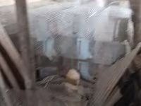 Հավերի վանդակներ — Foto 5