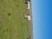Էգ ձի, Kazakh horse — լուսանկար 7