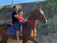 اسب نر, Akhal-Teke — عکس 3