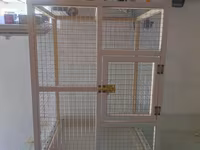 Papuqay,dovşan,hamster,şinşila,bildirçin,cücə,xamyak,pişik,quş,tısbağa — fotografija 3