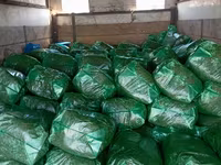 КРУГЛОГОДИЧНО 50% КУКУРУЗЫ 25 кг ВЕС,С погрузкой выше 5 тонн — عکس 1