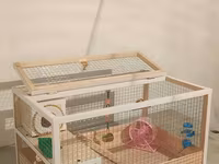 Hamster/kiçik gəmirici üçün geniş taxta — รูปภาพ 4