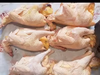 Chickens — foto 3
