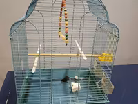 Quş qəfəsi – aksesuarlarla - Material: metal karkas, plastik altlıq - — عکس 1