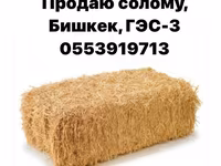Продаю солому, штучно по 250 сом от 5 до 10 штук, от 11 до 20 по 200 — ảnh 1
