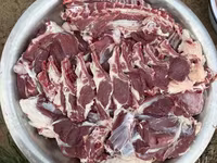 قوچ, گوسفند — عکس 6