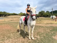 Merrie, Hungarian horse breed — foto 3