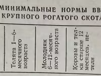 Гороховая мучка Чечевичная мучка Гороховые отруби Чечевичные отруби — عکس 2