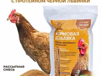 Витамины для кур несушек с Черной львинкой — عکس 4