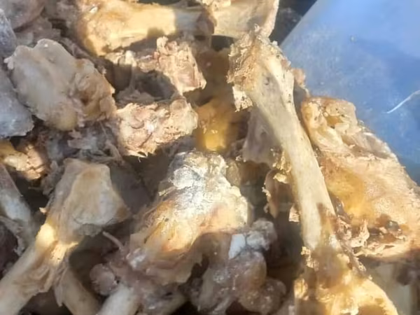 Продаю варёные кости для корма собакам. кости говядина и баранина