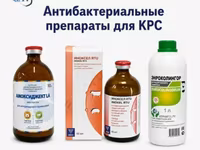 Антибактериальные препараты для КРС — ፎቶ 1