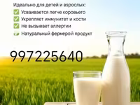 Всегда свежее без запаха — عکس 1